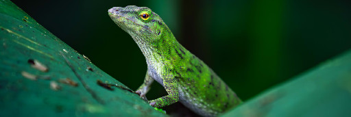 Landschaftsaufnahmen