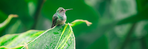 Landschaftsaufnahmen