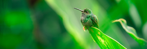 Landschaftsaufnahmen