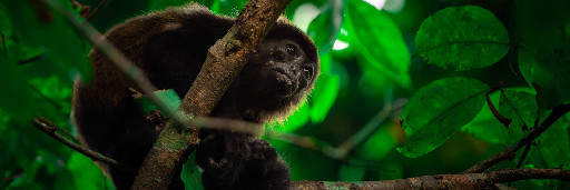 Landschaftsaufnahmen